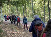 <a href="/actualites/stage-af1-randonnee-pedestre-saverne-67" class="active">Stage AF1 randonnée pédestre à Saverne (67)</a><div class="smartphoto_back_link"><a href="/multimedia">Retour aux albums</a></div><div class="smartphoto_date_album">Album publié le 01/11/2022</div>