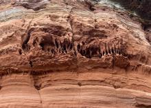<a href="/actualites/les-rencontres-nationales-des-randonnees-et-activites-de-pleine-nature" class="active">Les Rencontres Nationales des Randonnées et Activités de Pleine Nature</a><div class="smartphoto_back_link"><a href="/multimedia">Retour aux albums</a></div><div class="smartphoto_date_album">Album publié le 23/06/2022</div>