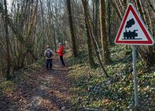 <a href="/actualites/stage-af1-randonnee-pedestre-longeville-en-barrois" class="active">Stage AF1 randonnée pédestre à Longeville en Barrois</a><div class="smartphoto_back_link"><a href="/multimedia">Retour aux albums</a></div><div class="smartphoto_date_album">Album publié le 01/04/2022</div>