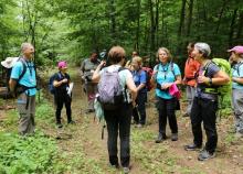 <a href="/actualites/les-rencontres-nationales-des-randonnees-et-activites-de-pleine-nature" class="active">Les Rencontres Nationales des Randonnées et Activités de Pleine Nature</a><div class="smartphoto_back_link"><a href="/multimedia">Retour aux albums</a></div><div class="smartphoto_date_album">Album publié le 23/06/2022</div>