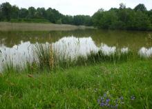<a href="/actualites/randonnee-fscf-territoire-dsv-organisee-par-nature-randeau-haut-oh" class="active">RANDONNÉE F.S.C.F TERRITOIRE D.S.V. Organisée par : Nature Rand’Eau Haut Oh !</a><div class="smartphoto_back_link"><a href="/multimedia">Retour aux albums</a></div><div class="smartphoto_date_album">Album publié le 08/06/2018</div>