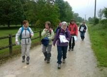 <a href="/actualites/lorientation-au-feminin" class="active">L&#039;orientation au féminin</a><div class="smartphoto_back_link"><a href="/multimedia">Retour aux albums</a></div><div class="smartphoto_date_album">Album publié le 07/06/2016</div>