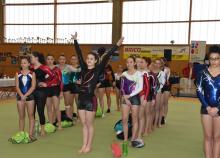 <a href="/demi-finales-des-coupes-mixtes-de-gymnastique-zone-sud-est" class="active">Demi-Finales des coupes mixtes de gymnastique - Zone Sud-Est</a><div class="smartphoto_back_link"><a href="/multimedia">Retour aux albums</a></div><div class="smartphoto_date_album">Album publié le 03/11/2015</div>