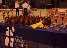 <a href="/demi-finales-des-coupes-mixtes-de-gymnastique-zone-nord-2016" class="active">Demi-Finales des coupes mixtes de gymnastique - Zone Nord - 2016</a><div class="smartphoto_back_link"><a href="/multimedia">Retour aux albums</a></div><div class="smartphoto_date_album">Album publié le 03/11/2015</div>