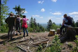 Observation et lecture de paysage Stage AF1 randonnée pédestre Saverne 2021