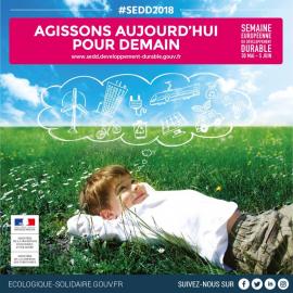 affiche enfant couché dans l'herbe révant à un monde plus propre affiche semaine européenne du développement durable