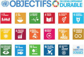 17 ODD 17 objectifs de développement durable