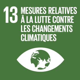 ODD 13 - Mesures de lutte contre les changements climatiques ODD 13