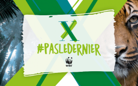 Campagne du WWF #pasledernier Campagne du WWF #pasledernier