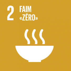 ODD 2 Objectif de développement durable 2 "Faim zéro"