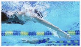 natation FSCF natation FSCF