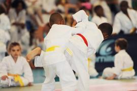 Arts Martiaux FSCF Arts Martiaux FSCF