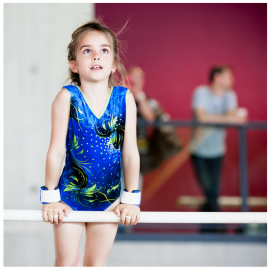 Formation AF2 gymnastique féminine Formation AF2 gymanstique féminine