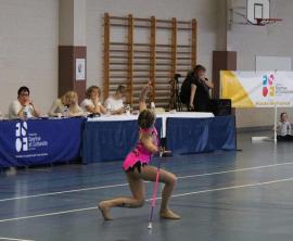 Championnat régional individuel de Twirling Championnat régional individuel de Twirling