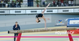 FSCF Gymnastique masculine FSCF Gymnastique masculine