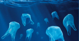 journée mondiale de l'eau opération de sensibilisation sur les pollutions des milieux aquatiques