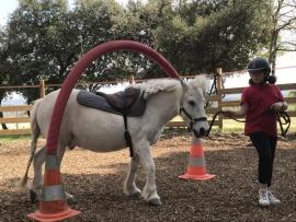 Equihomologie avec ISOFACULTE Equihomologie avec ISOFACULTE