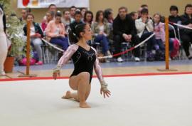 GYMNASTIQUE FEMININE STAGES JUILLET 2016 GYMNASTIQUE FEMININE STAGES JUILLET 2016