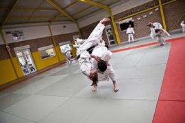Sur les tatamis Combat de judokas