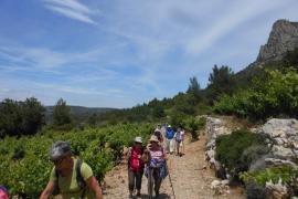 Au coeur du vignoble du Roussillon Au coeur du vignoble du Roussillon