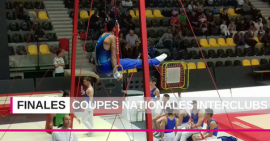 Finales des Coupes Nationales Interclubs de gymnastique masculine Finales des Coupes Nationales Interclubs de gymnastique masculine