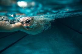 fscf-natation fscf-natation