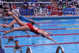 La natation mise à l’honneur à Tours pour le championnat national 2016 La natation mise à l’honneur à Tours pour le championnat national 2016