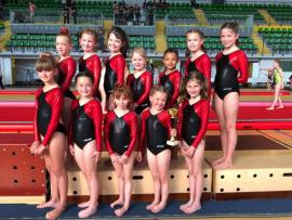 FSCF Devenir juge pour la gymnastique artistique féminine FSCF Devenir juge pour la gymnastique artistique féminine