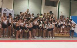 FSCF Nouveau mouvement, nouveaux bénévoles, au service de la pratique gymnique en compétition FSCF Nouveau mouvement, nouveaux bénévoles, au service de la pratique gymnique en compétition