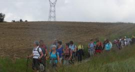 groupe de promeneurs en randonnée groupe de promeneurs en randonnée