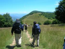AF2 Randonnées : ouverture des inscriptions 2017 AF2 Randonnées : ouverture des inscriptions 2017