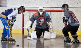 Les Sentinelles, équipe de roller hockey Les Sentinelles, équipe de roller hockey