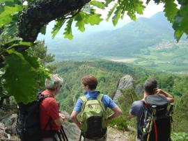 Stage dans le vignoble Alsacien Stage dans le vignoble Alsacien