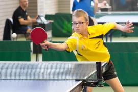 fscf-tennisdetable fscf-tennisdetable