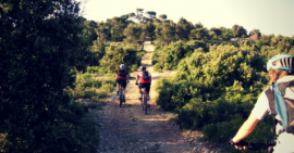 Focus Activité : Le Vélo Tout Chemin (VTC) à la FSCF Focus Activité : Le Vélo Tout Chemin (VTC) à la FSCF