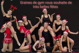 Histoire de … Graines de Gym FSCF_Histoire-de-Graines-de-Gym