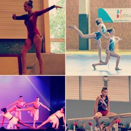 Les activités de la FSCF