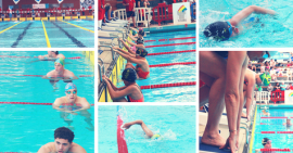 FCSF natation FCSF natation