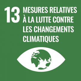 ODD 13 "Mesures de lutte contre les changements climatiques" ODD 13