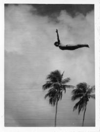 FSCF plongeon nice FSCF plongeon nice