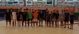 Stage perf minime cadet 2021 FSCF_Stage_perf_minime_cadet_2021_gymnastique_masculine