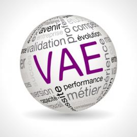 VAE VAE